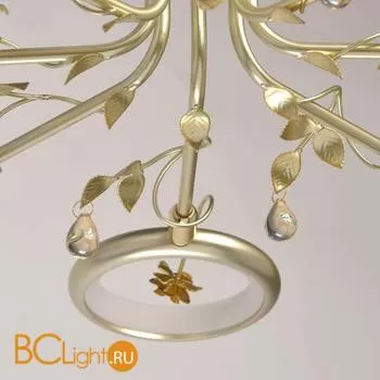 Потолочная люстра MW-Light Ивонна 459011408 - Фото 9