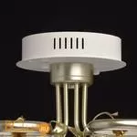Потолочная люстра MW-Light Ивонна 459011408 - Фото 5