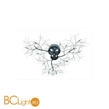 Потолочный светильник MW-Light Карина 326010112