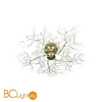 Потолочный светильник MW-Light Карина 326010620