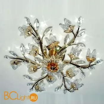 Потолочный светильник MW-Light Мальта 239010214