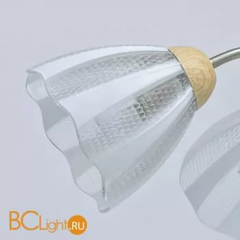 Потолочная люстра MW-Light Мечта 297013405 - Фото 0