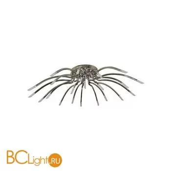 Потолочный светильник MW-Light Медея 331010422