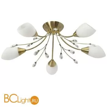 Потолочная люстра MW-Light Нежность 356012905