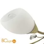 Потолочная люстра MW-Light Нежность 356012905 - Фото 1