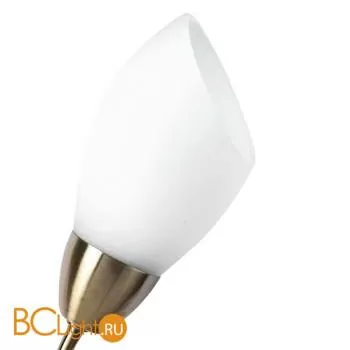 Бра MW-Light Нежность 356023001 - Фото 1