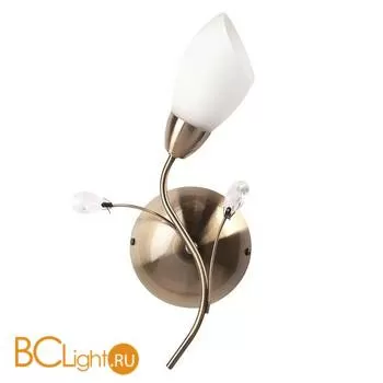 Бра MW-Light Нежность 356023001