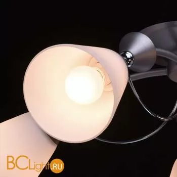 Потолочная люстра MW-Light Нежность 676010505 - Фото 4