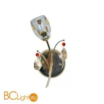 Бра MW-Light Нежность 356020301