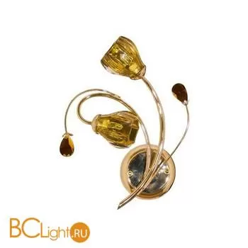 Бра MW-Light Нежность 356020502