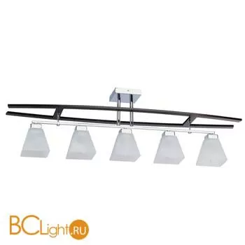 Потолочный светильник MW-Light Николь 364013005