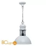 Подвесной светильник MW-Light Нойвид 682010201 - Фото 0