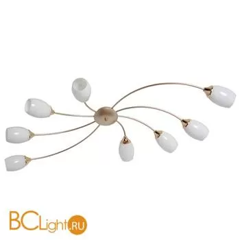 Потолочная люстра MW-Light Олимпия 638016508