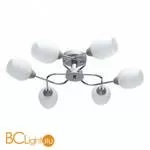 Люстра MW-Light Олимпия 638018506