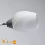 Люстра MW-Light Олимпия 638018708 - Фото 2