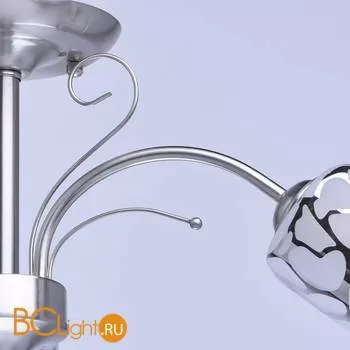 Потолочная люстра MW-Light Олимпия 261019403 - Фото 5