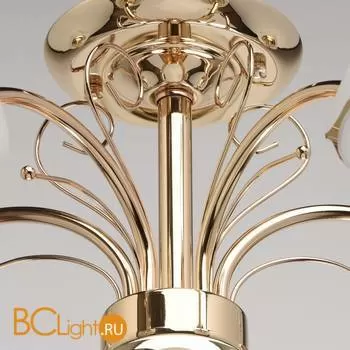 Потолочная люстра MW-Light Олимпия 638010105 - Фото 9