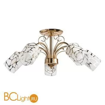 Потолочная люстра MW-Light Олимпия 638010105