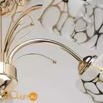 Потолочная люстра MW-Light Олимпия 638010105 - Фото 8