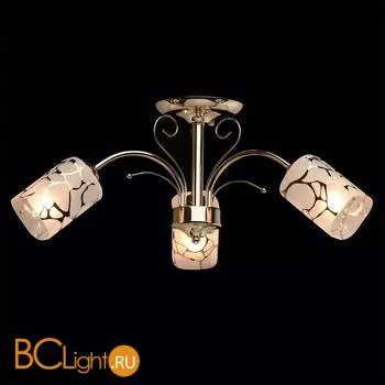 Потолочная люстра MW-Light Олимпия 638010203 - Фото 0