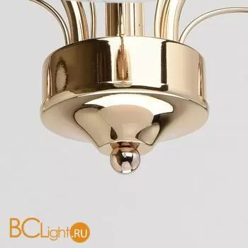 Потолочная люстра MW-Light Олимпия 638010203 - Фото 2