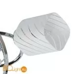 Потолочная люстра MW-Light Олимпия 638011706 - Фото 0