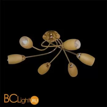 Потолочная люстра MW-Light Олимпия 261016406