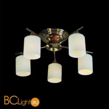 Потолочная люстра MW-Light Олимпия 261016905