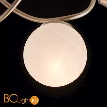 Потолочная люстра MW-Light Оливия 306012808 - Фото 3
