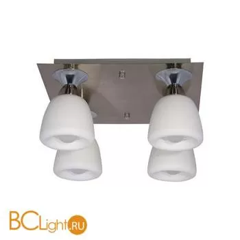 Потолочный светильник MW-Light Оливия 306011404