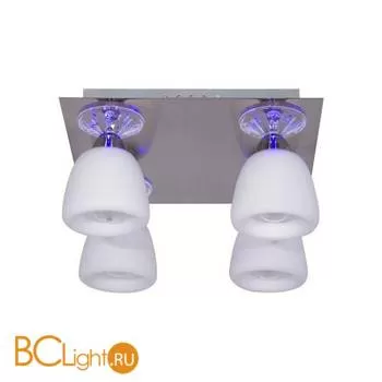 Потолочный светильник MW-Light Оливия 306011504