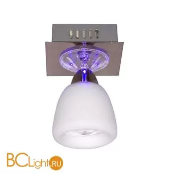 Потолочный светильник MW-Light Оливия 306011801