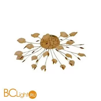 Потолочный светильник MW-Light Осень 290010321