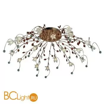 Потолочная люстра MW-Light Подснежник 294011921