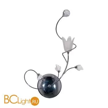 Бра MW-Light Подснежник 294022401
