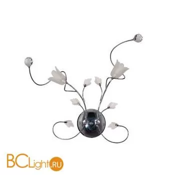 Бра MW-Light Подснежник 294022602