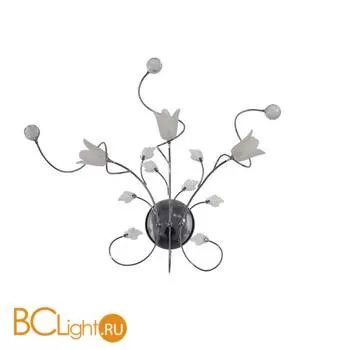 Бра MW-Light Подснежник 294022803