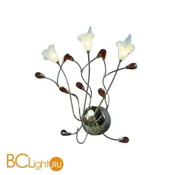 Бра MW-Light Подснежник 294023203