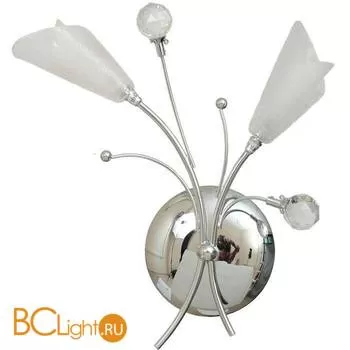 Бра MW-Light Подснежник 294024002