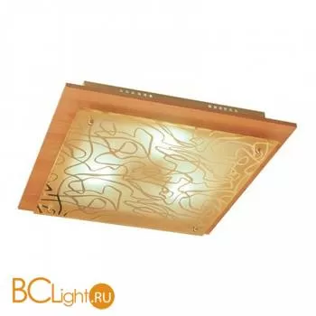 Потолочный светильник MW-Light Премьера 374010503