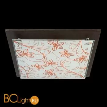 Потолочный светильник MW-Light Премьера 374013403