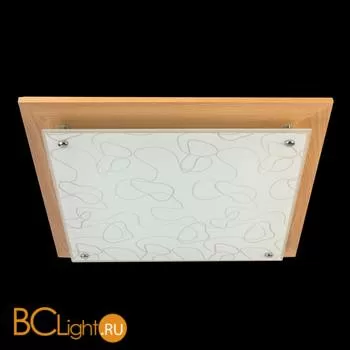 Потолочный светильник MW-Light Премьера 374013703