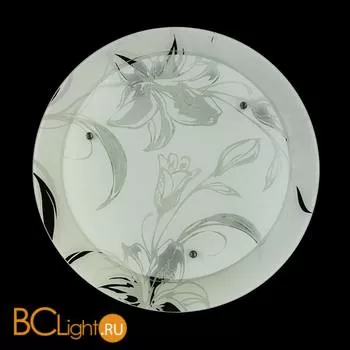 Настенно-потолочный светильник MW-Light Премьера 374014003