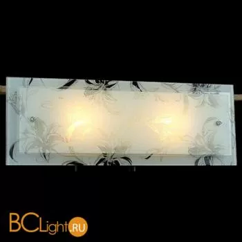 Настенный светильник MW-Light Премьера 374025002