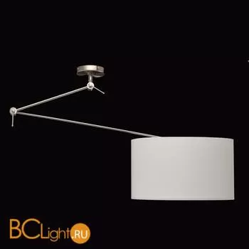 Потолочный светильник MW-Light Райне 494012001