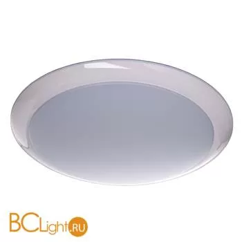 Потолочный светильник MW-Light Ривз 674014201