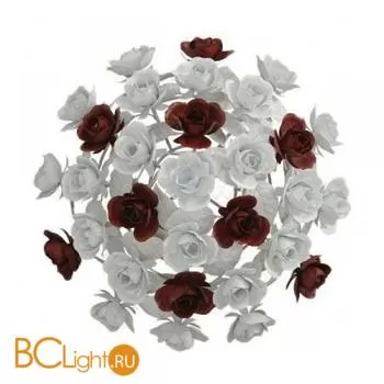 Бра MW-Light Розалия 423020602