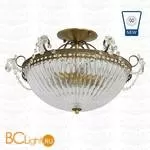 Потолочный светильник MW-Light Селена 482010204