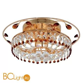 Потолочный светильник MW-Light Ванесса 362010303