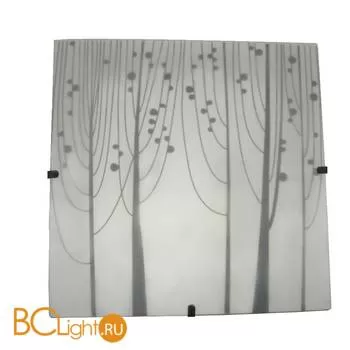 Настенный светильник MW-Light Васто 368011002